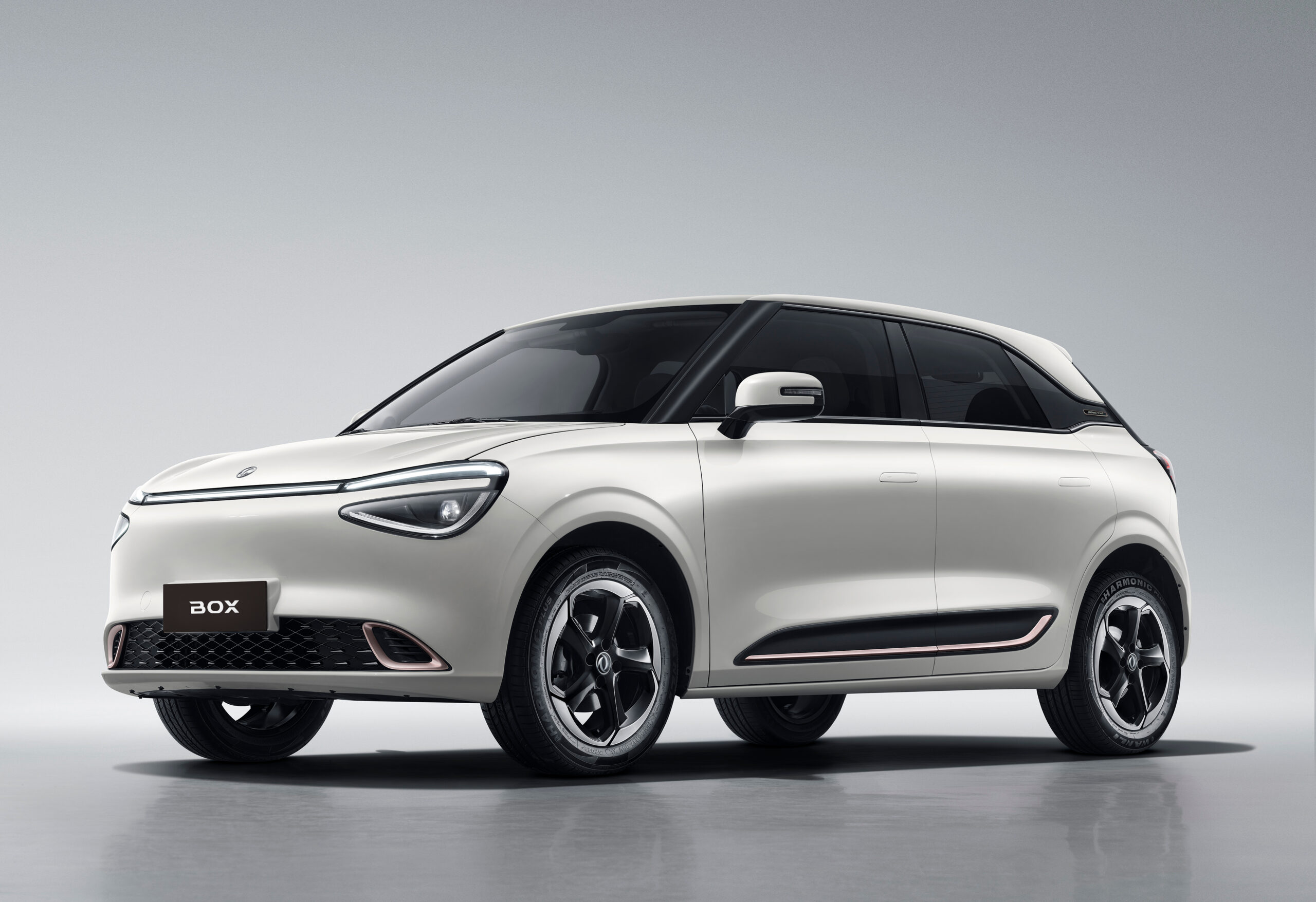 dongfeng-box-vanilla-scaled